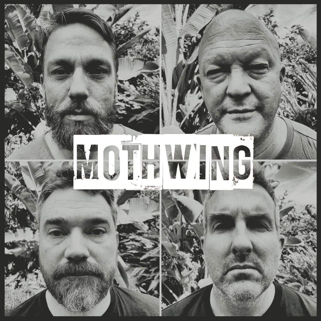 Mothwing