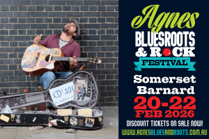 somerset barnard wide band graphic