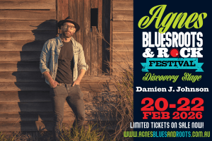 damien j johnson wide band graphic